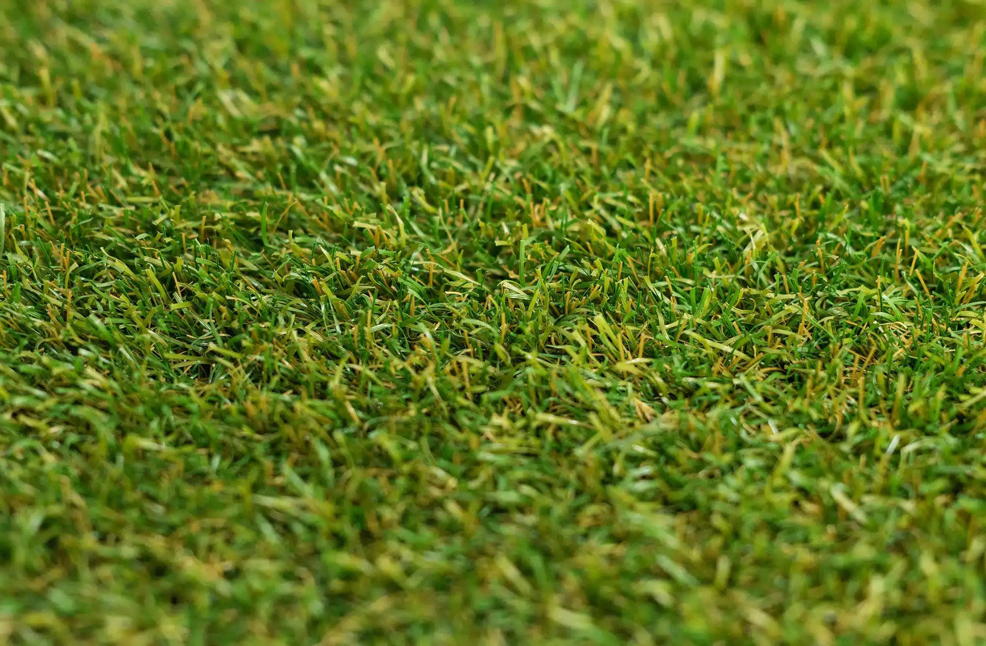 Valencia kunstgras — detailfoto 4